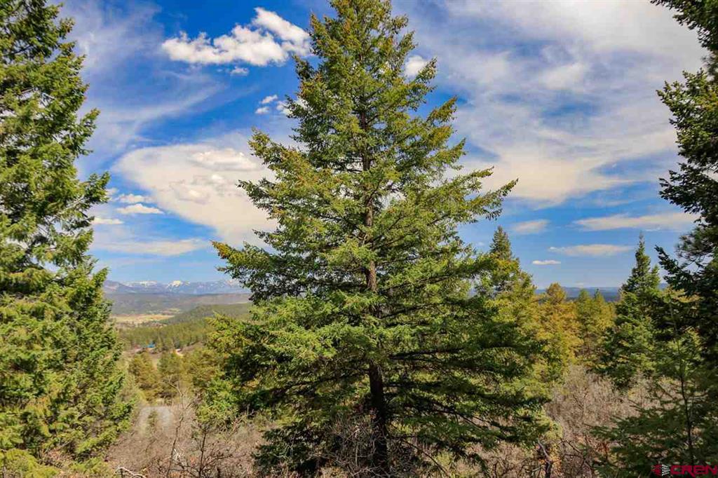 430 Pike Drive Pagosa Springs CO 81147