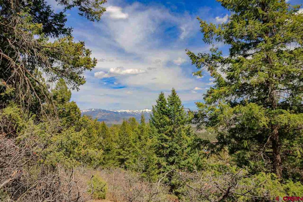 430 Pike Drive Pagosa Springs CO 81147