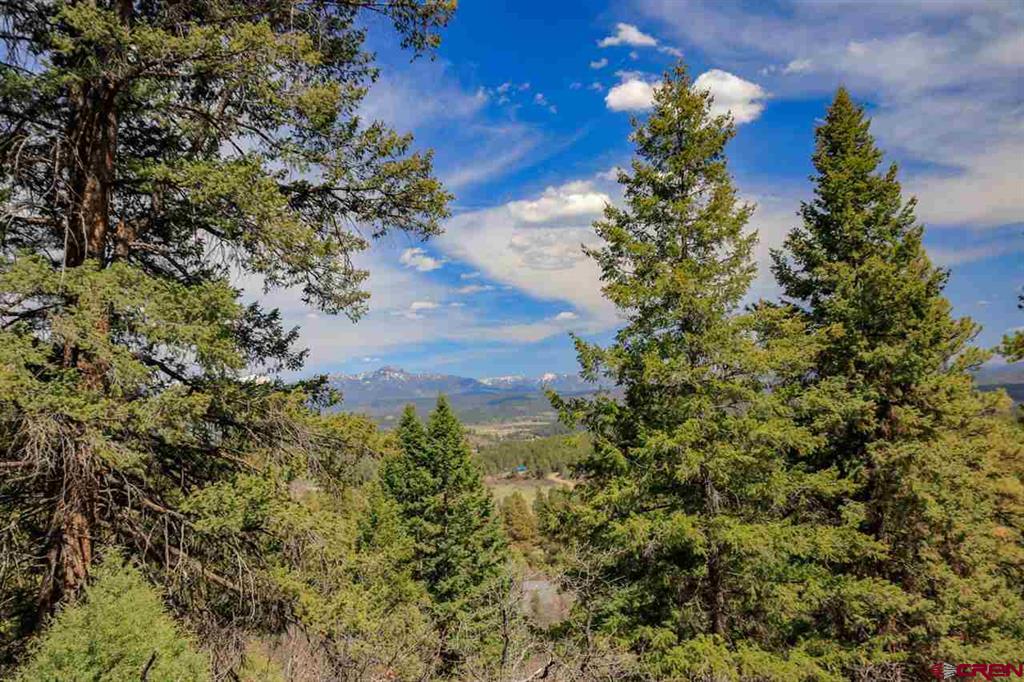 430 Pike Drive Pagosa Springs CO 81147