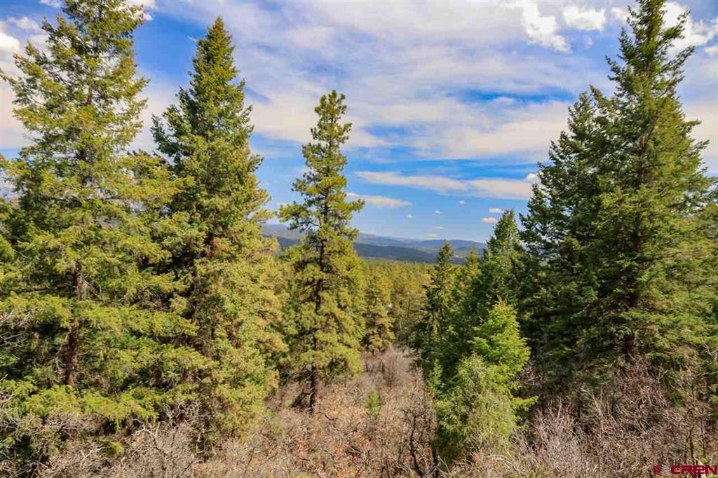 430 Pike Drive Pagosa Springs CO 81147