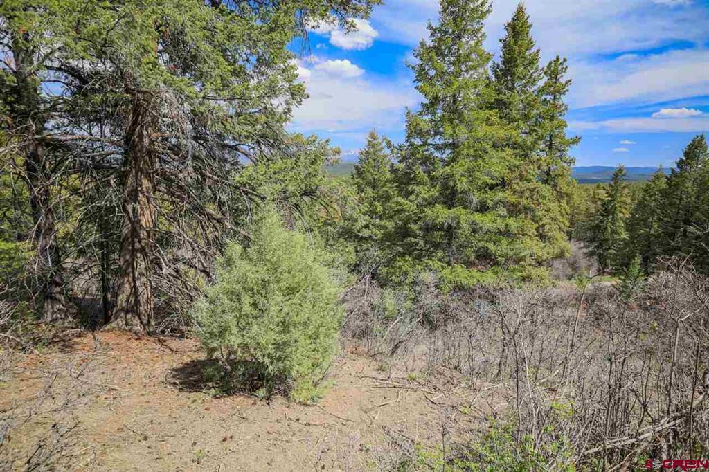 430 Pike Drive Pagosa Springs CO 81147
