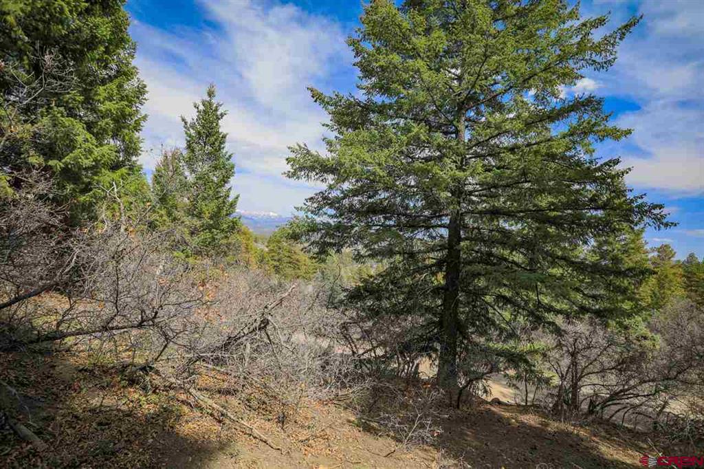 430 Pike Drive Pagosa Springs CO 81147