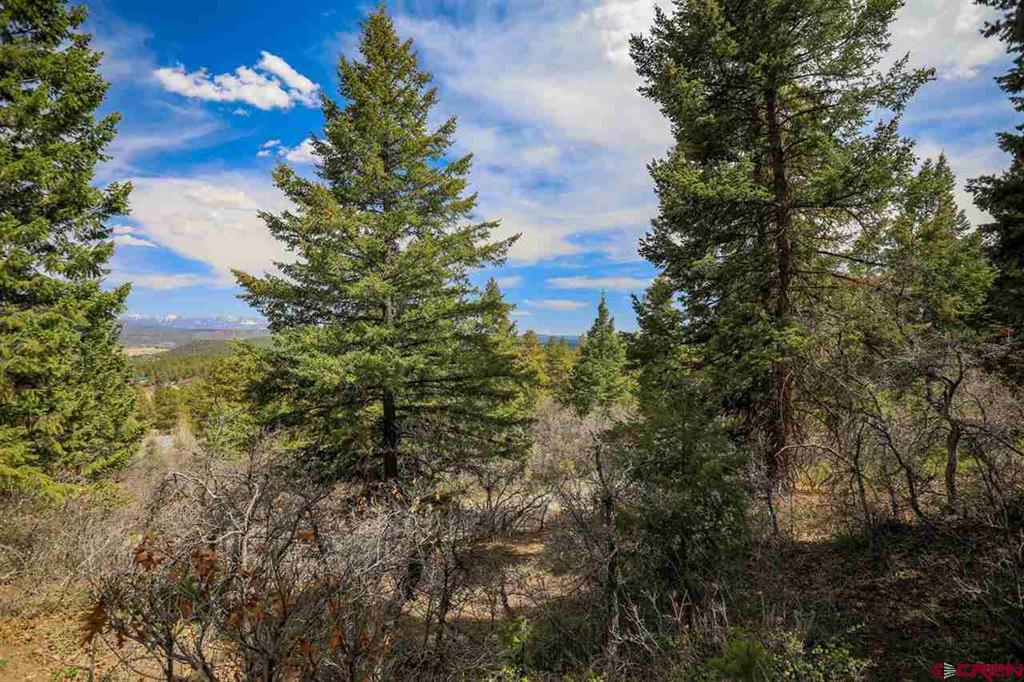 430 Pike Drive Pagosa Springs CO 81147