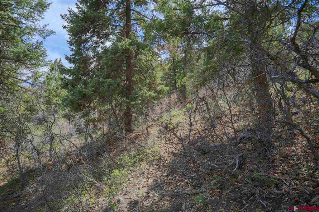 430 Pike Drive Pagosa Springs CO 81147