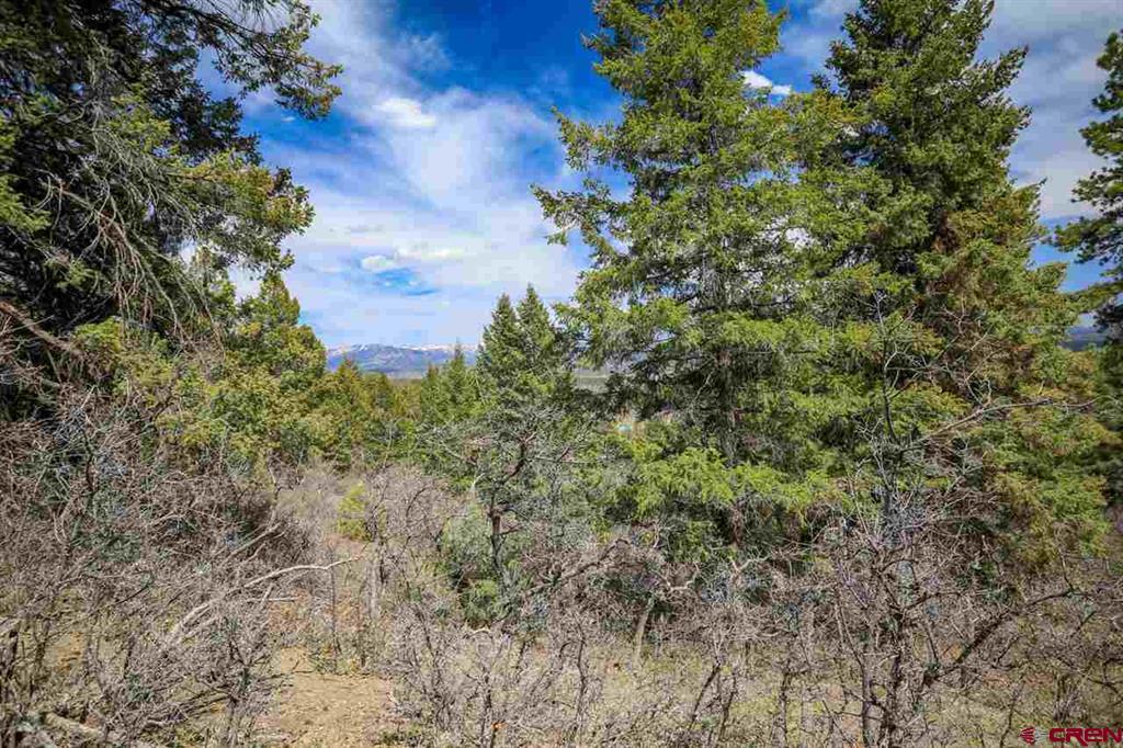 430 Pike Drive Pagosa Springs CO 81147