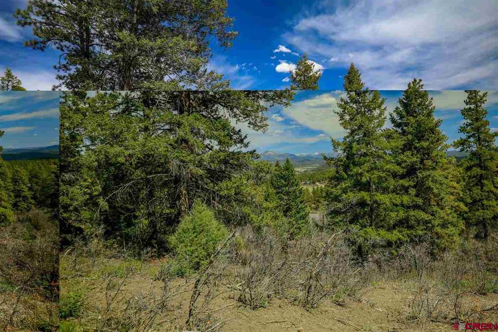 430 Pike Drive Pagosa Springs CO 81147