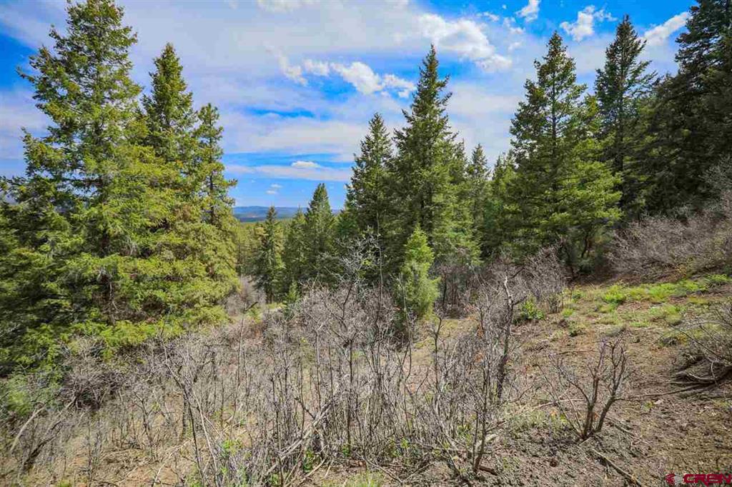430 Pike Drive Pagosa Springs CO 81147