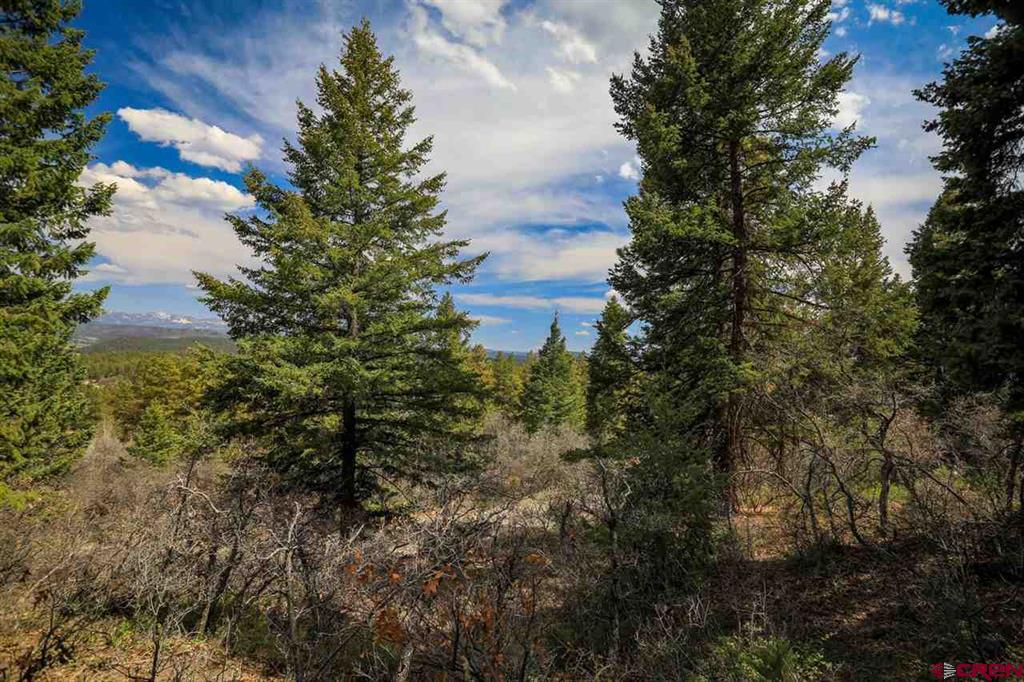 430 Pike Drive Pagosa Springs CO 81147