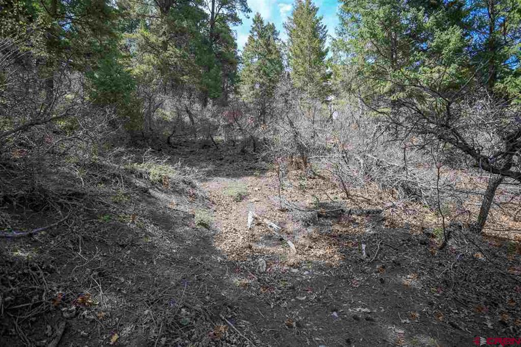 430 Pike Drive Pagosa Springs CO 81147