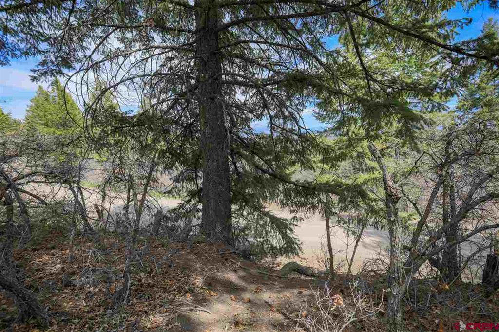 430 Pike Drive Pagosa Springs CO 81147