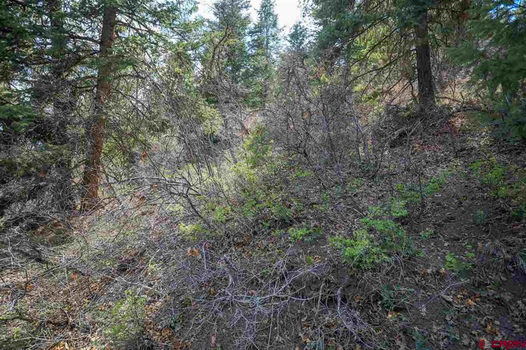 430 Pike Drive Pagosa Springs CO 81147