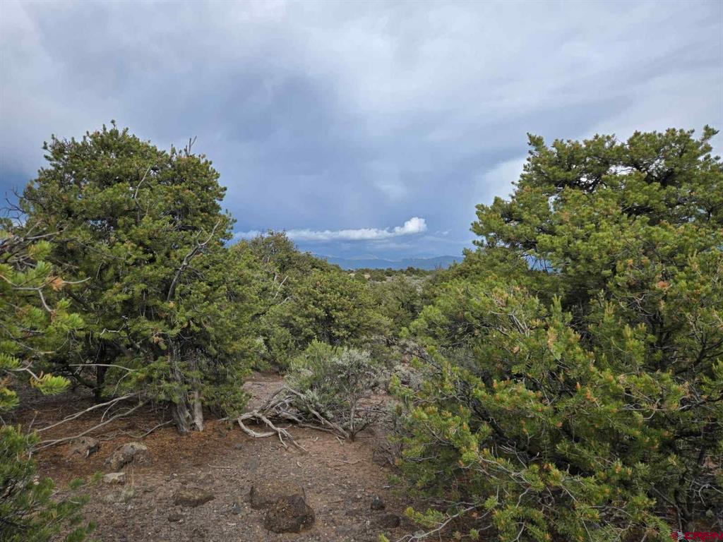 Tbd Monte Vista Drive San Luis CO 81152