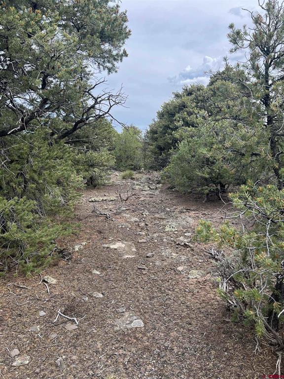 Tbd Monte Vista Drive San Luis CO 81152