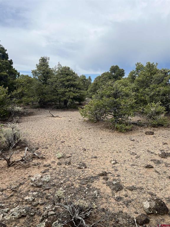 Tbd Monte Vista Drive San Luis CO 81152