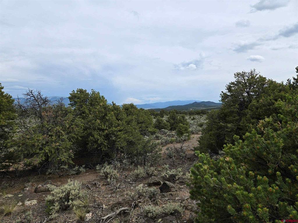 Tbd Monte Vista Drive San Luis CO 81152