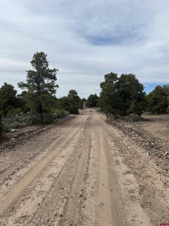 Tbd Monte Vista Drive San Luis CO 81152