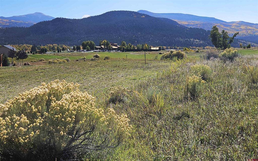 27 Greenside Court South Fork CO 81154