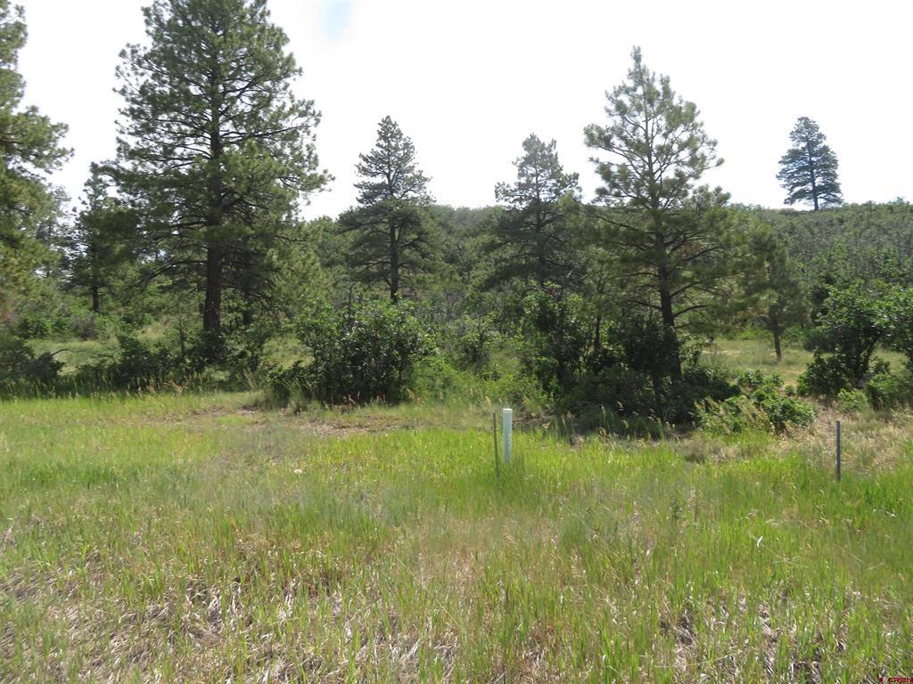 Pagosa Springs CO, 587 Santino Place