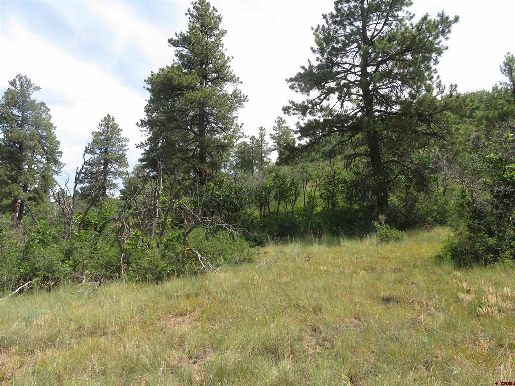 587 Santino Place Pagosa Springs CO 81147