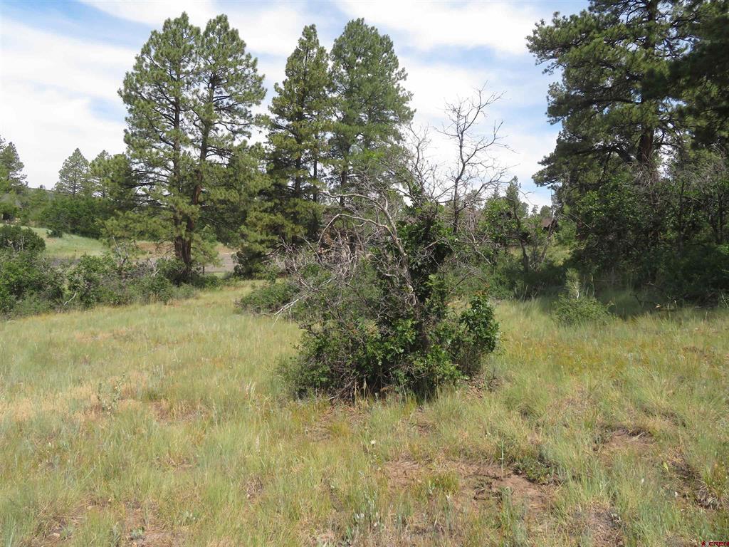 587 Santino Place Pagosa Springs CO 81147