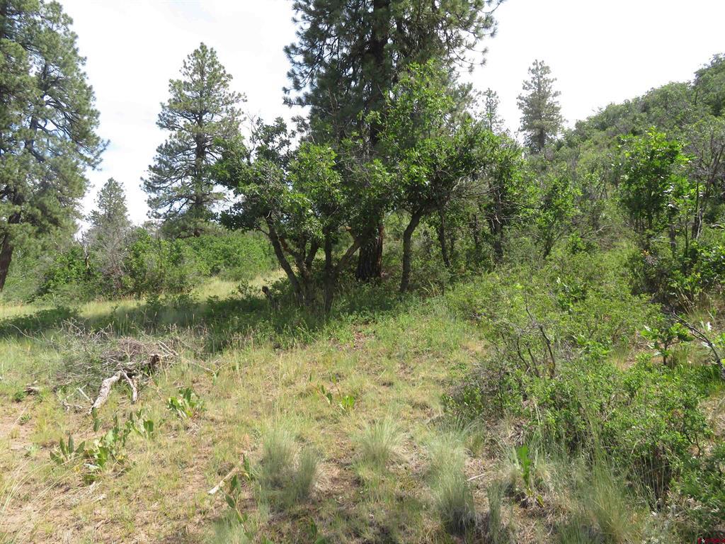 587 Santino Place Pagosa Springs CO 81147