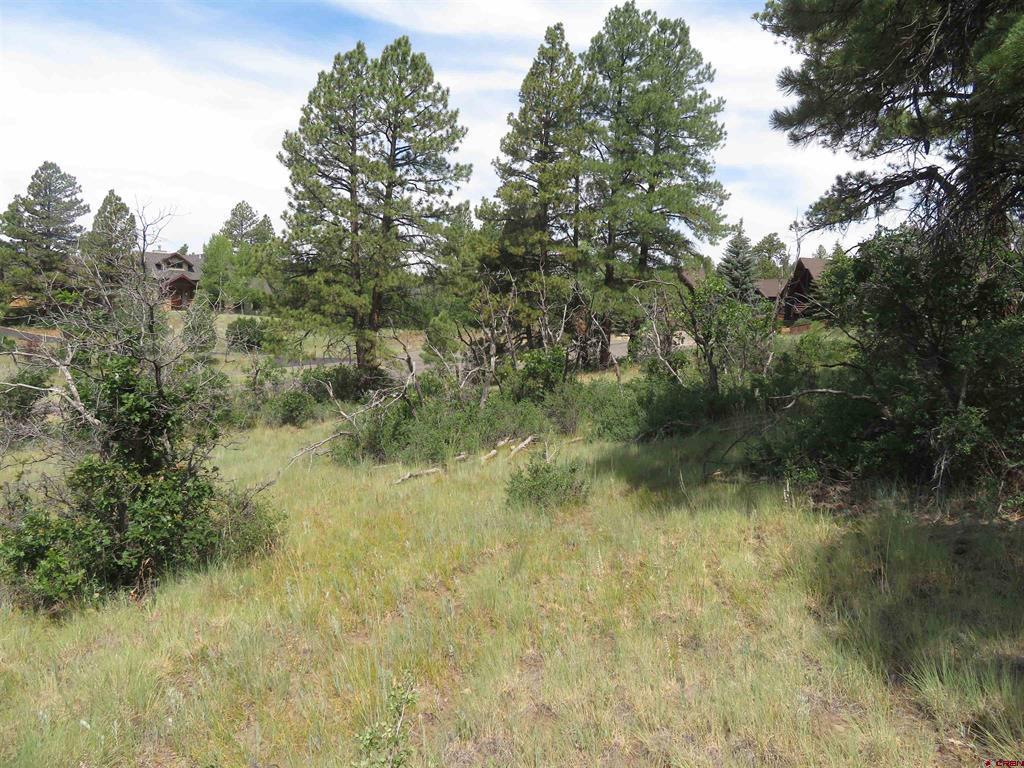 587 Santino Place Pagosa Springs CO 81147