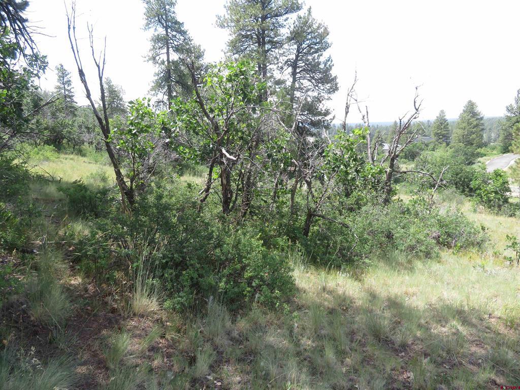 587 Santino Place Pagosa Springs CO 81147