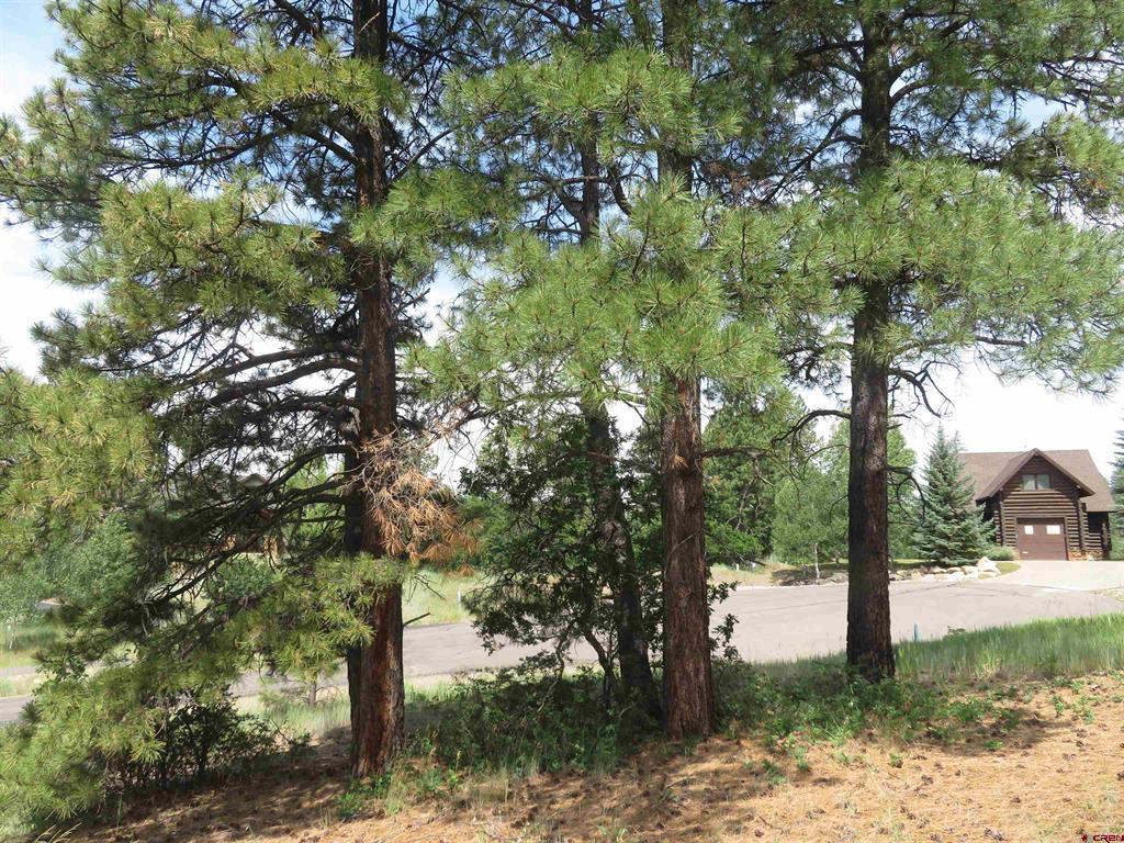 587 Santino Place Pagosa Springs CO 81147