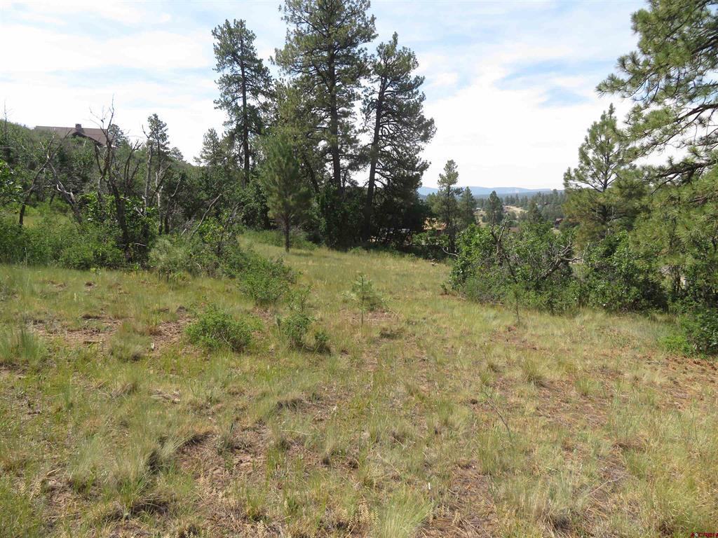 587 Santino Place Pagosa Springs CO 81147