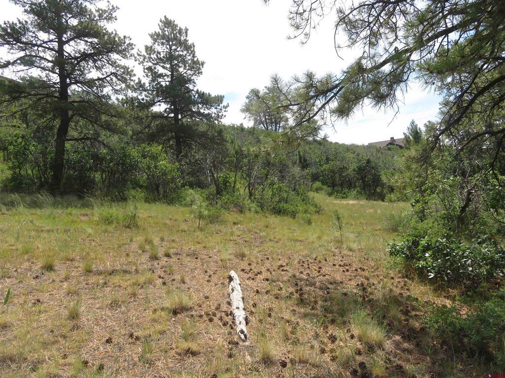 587 Santino Place Pagosa Springs CO 81147