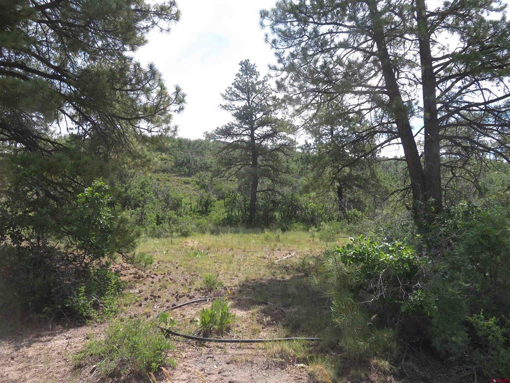587 Santino Place Pagosa Springs CO 81147
