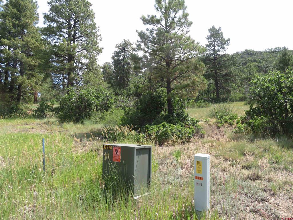 587 Santino Place Pagosa Springs CO 81147