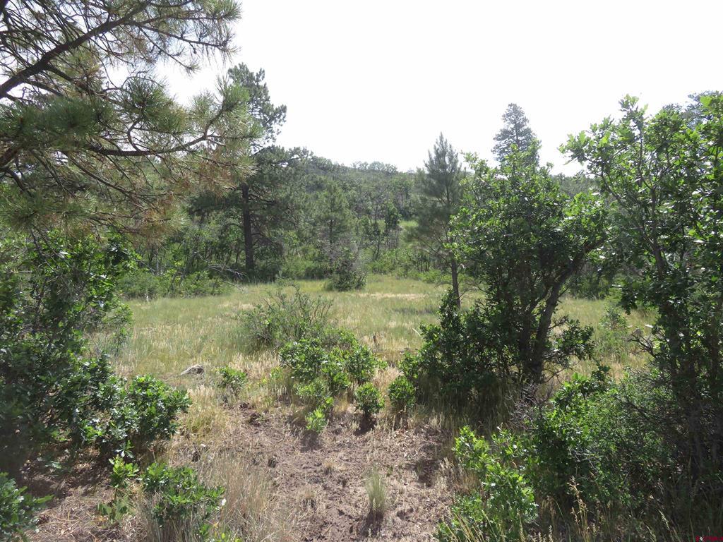 587 Santino Place Pagosa Springs CO 81147