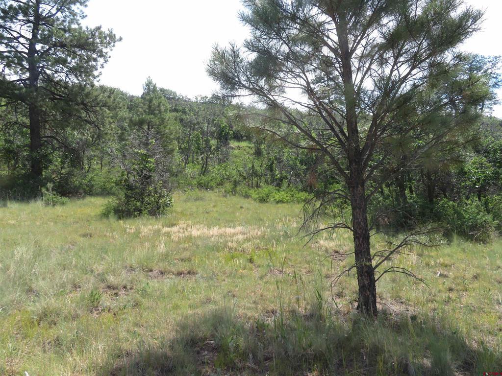 587 Santino Place Pagosa Springs CO 81147
