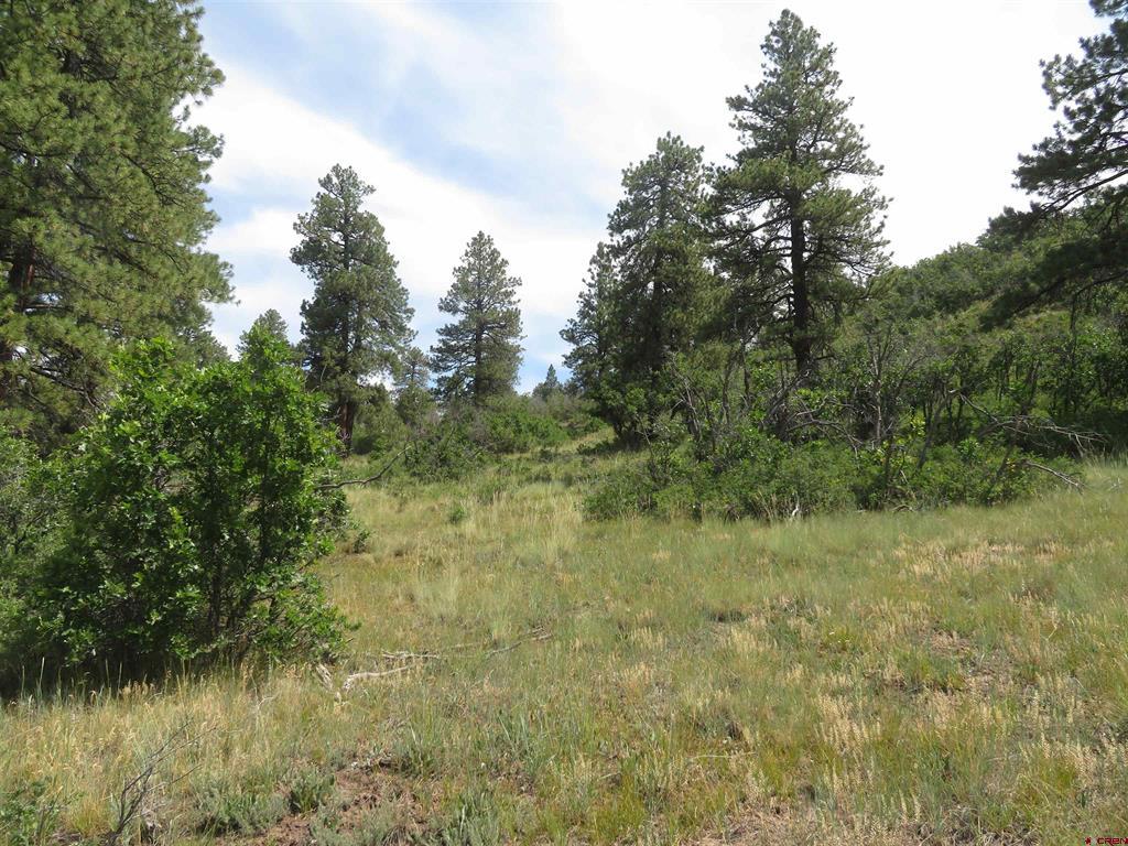 587 Santino Place Pagosa Springs CO 81147