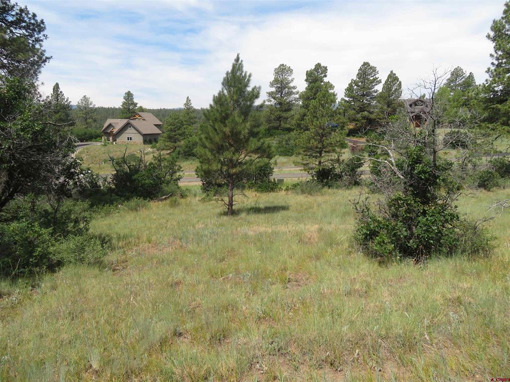 587 Santino Place Pagosa Springs CO 81147