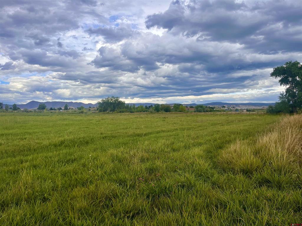 Tbd E Higway 50 Montrose CO 81401