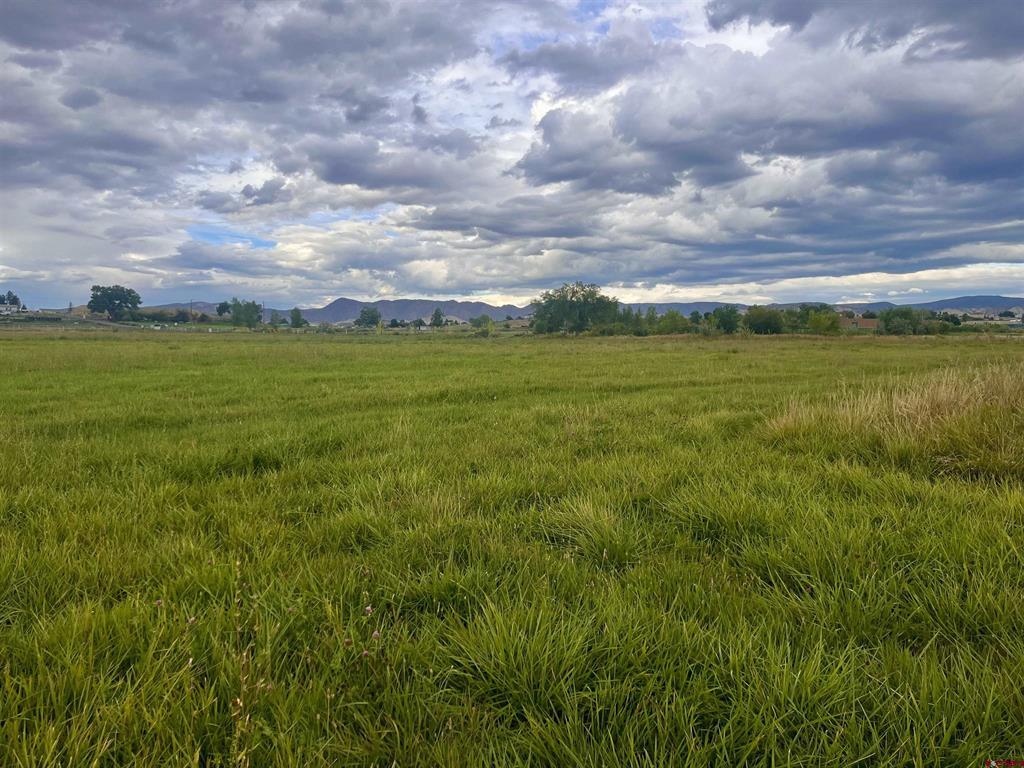 Tbd E Higway 50 Montrose CO 81401