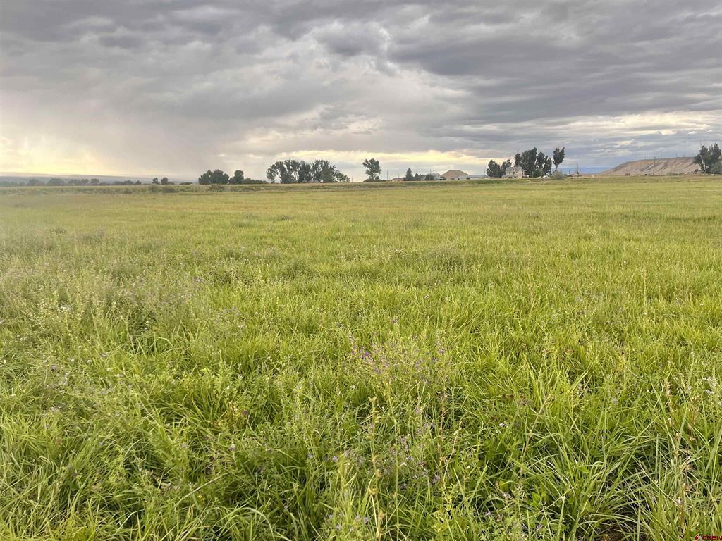 Tbd E Higway 50 Montrose CO 81401
