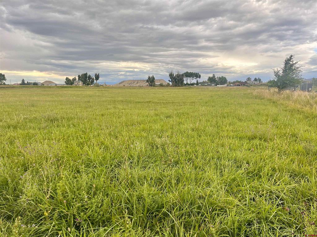 Tbd E Higway 50 Montrose CO 81401
