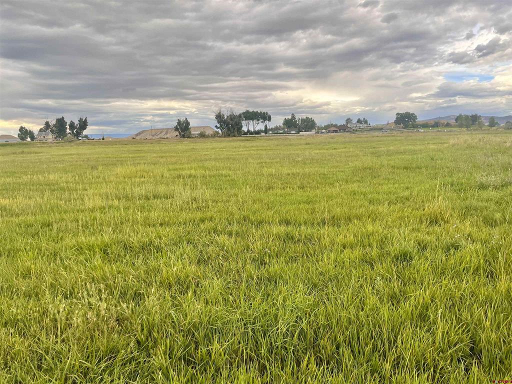 Tbd E Higway 50 Montrose CO 81401
