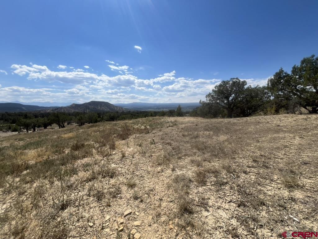 Tbd Buckhorn Road Montrose CO 81403