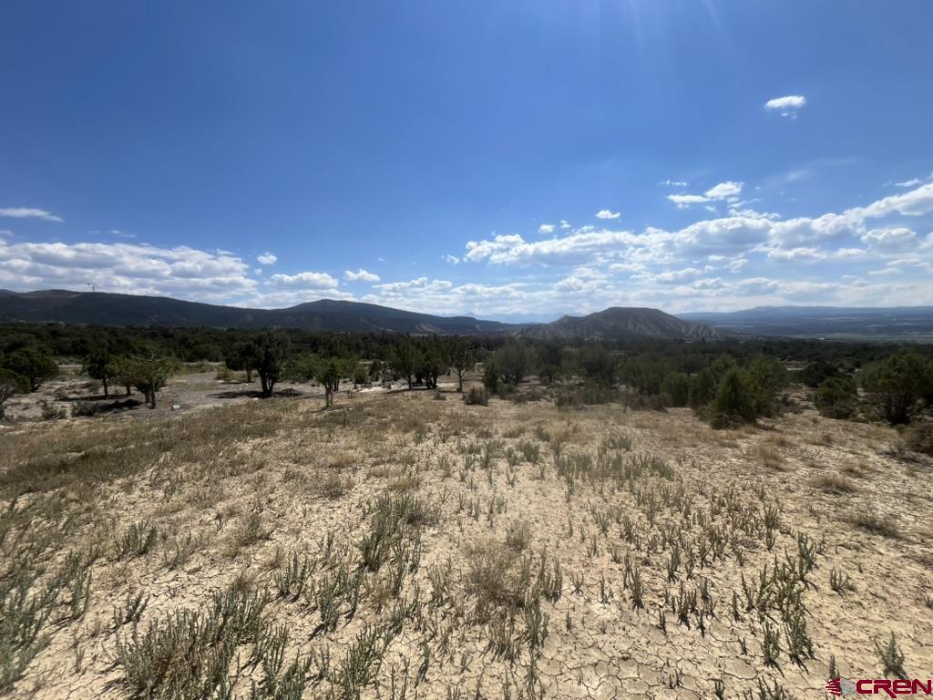 Tbd Buckhorn Road Montrose CO 81403