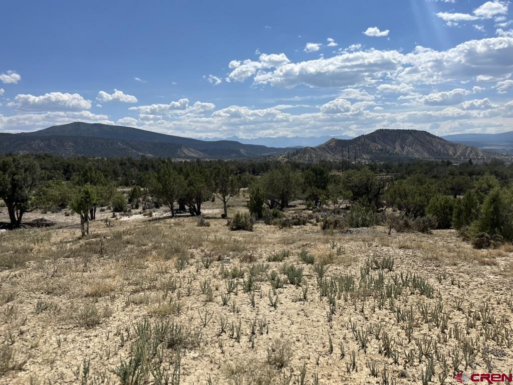 Tbd Buckhorn Road Montrose CO 81403