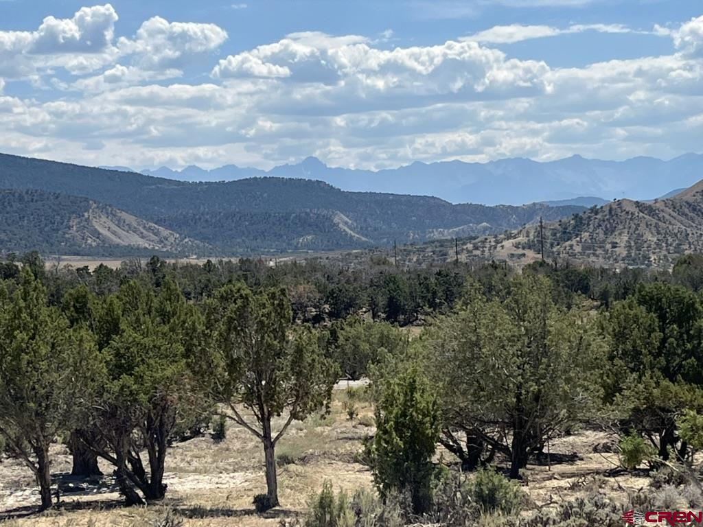 Tbd Buckhorn Road Montrose CO 81403