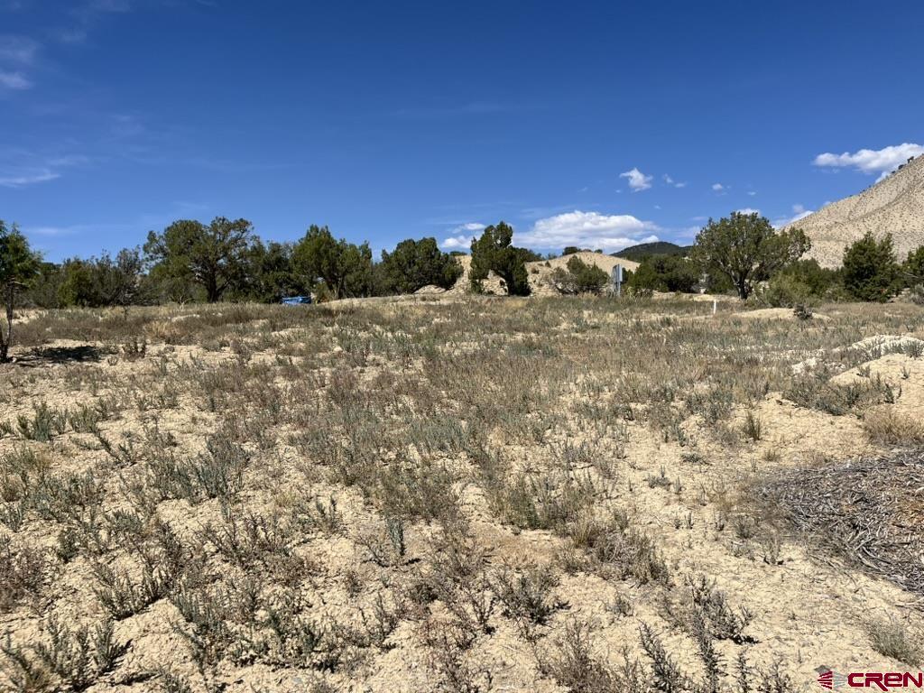 Tbd Buckhorn Road Montrose CO 81403