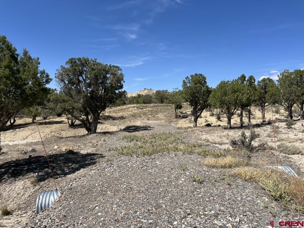 Tbd Buckhorn Road Montrose CO 81403