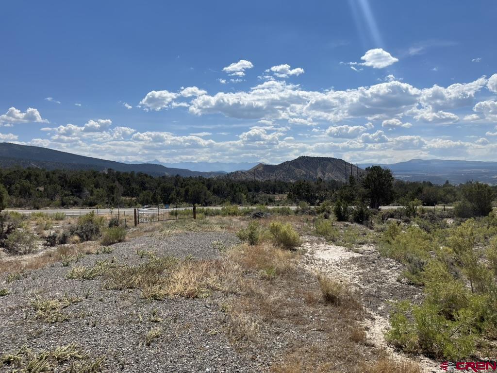 Tbd Buckhorn Road Montrose CO 81403