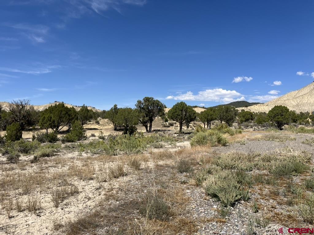 Tbd Buckhorn Road Montrose CO 81403