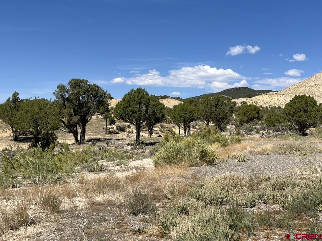 Tbd Buckhorn Road Montrose CO 81403